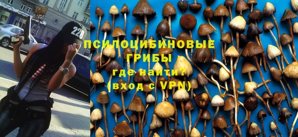 гидропоника Верея