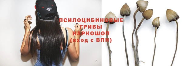 стаф Верхний Тагил