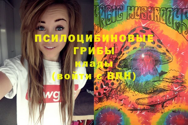 гидропоника Верея