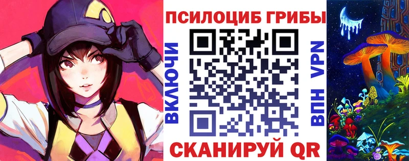 Псилоцибиновые грибы MAGIC MUSHROOMS  ОМГ ОМГ tor  Шебекино 